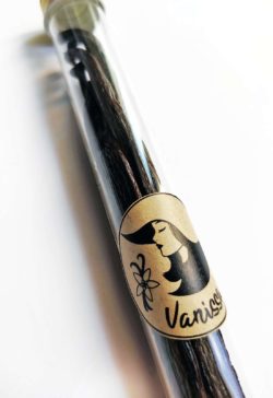 Vanilleschote Vanissa